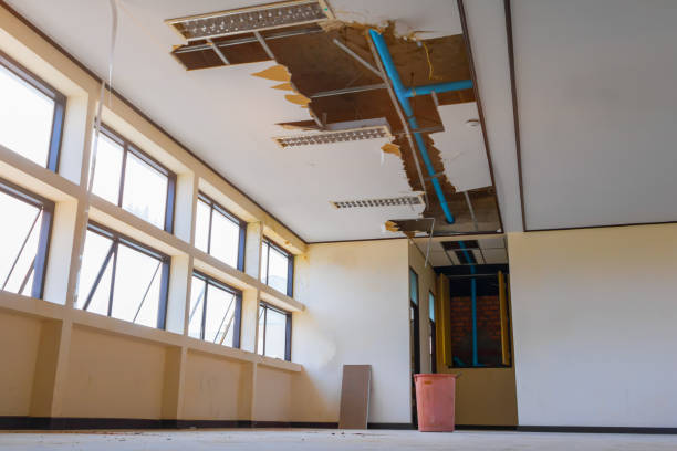 Best Water damage restoration company  in Rocky River, OH