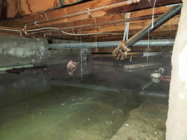 Local water damage restoration in Rocky River, OH