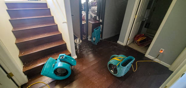  Rocky River, OH Water damage restoration Pros