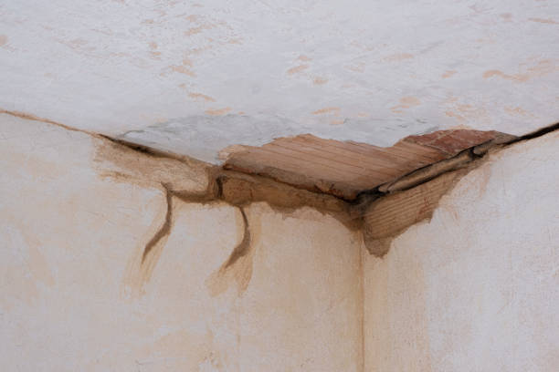 Best Carpet water damage restoration  in Rocky River, OH
