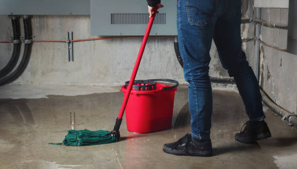 Best Water damage restoration near me  in Rocky River, OH