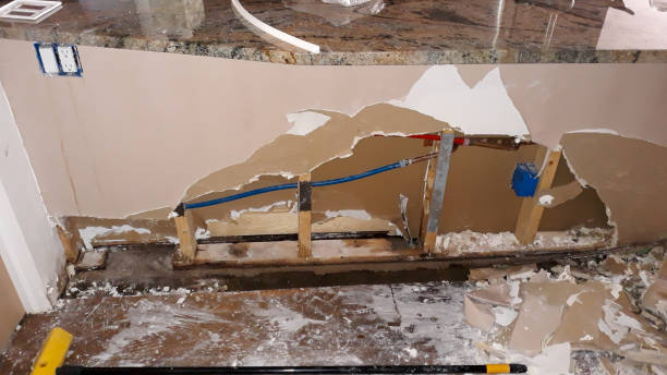 Best Flooded house restoration  in Rocky River, OH