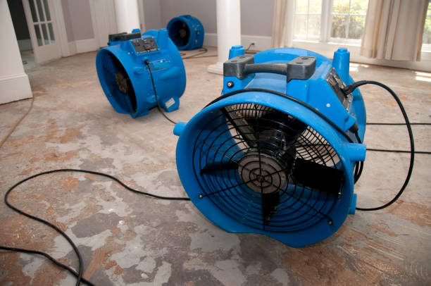 Best Water damage restoration cost  in Rocky River, OH
