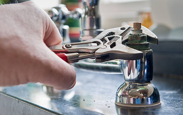 Best Flood damage cleanup  in Rocky River, OH