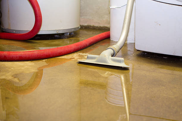Best 24-hour water damage restoration  in Rocky River, OH