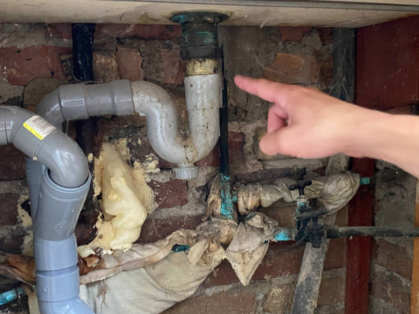 Best Fire Damage Restoration  in Rocky River, OH